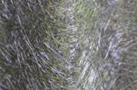 Camustiel fibreglass roof work